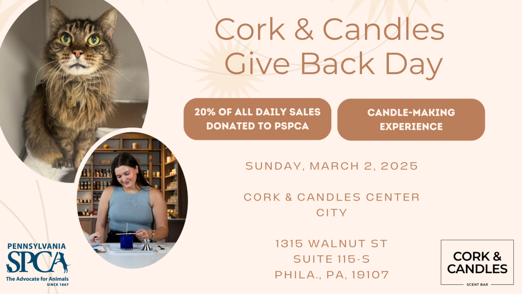 Pour a Candle, Help a Pup—Join Cork & Candles for PSPCA’s Give Back Day!